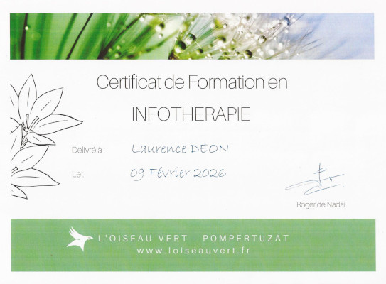 certificat_infotherapeute_solarisations_oiseau_vert